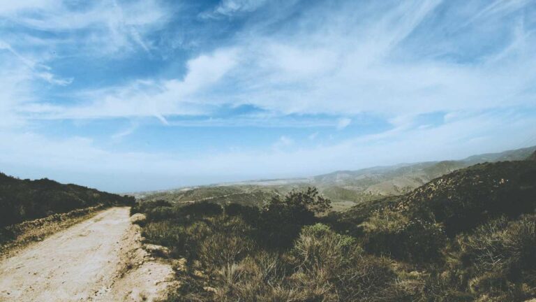 Why Does Cricbet99 Show A Suspended Message?