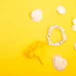 Reddybook Review: Transforming Digital Publishing and How It Stands Next to 11xplay