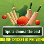 2026’s Top 18 Online Cricket ID Providers – Complete Guide, India24bet, T20exchange